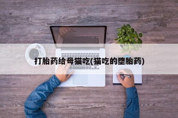打胎药的微信联系方式打胎药给母猫吃(猫吃的堕胎药)